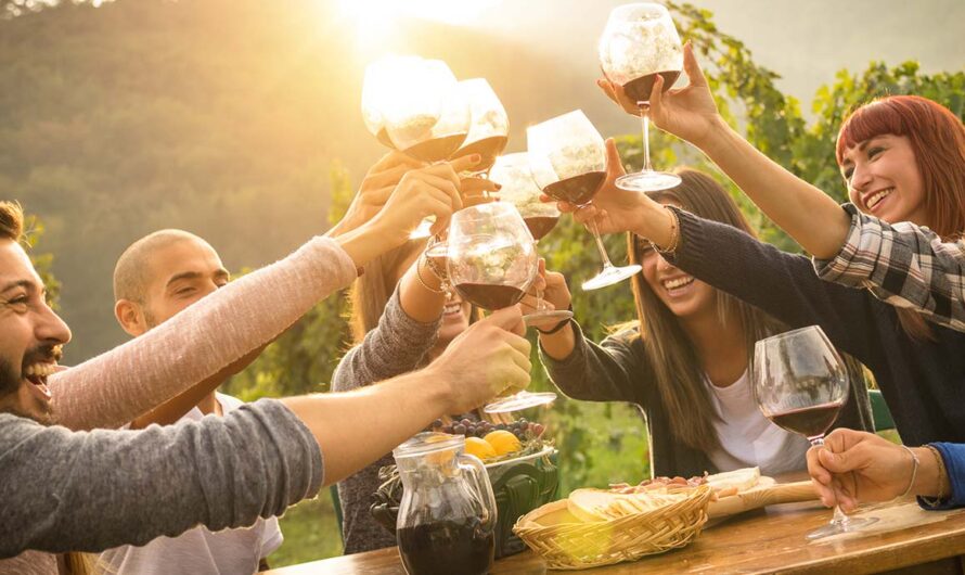 Reasons to go on a wine tasting tour